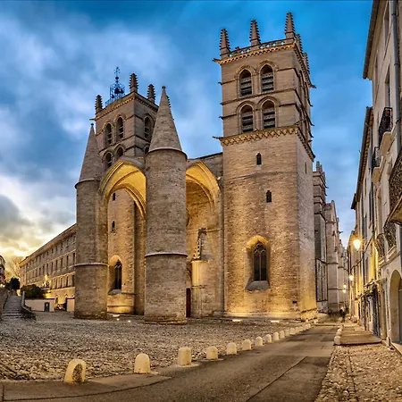 T2 Cosy Clim & Wifi - Ecusson Coeur De Apartmán